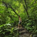 Nature walk through dense forest during waterfall hiking experience in Lombok