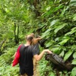 Forest trail leading to Benang Kelambu during hidden waterfall hike in Lombok