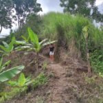 Guided hiking trail through banana plantation in Aik Berik village, Lombok