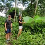 Guest holding taro plant leaves during guided hike to hidden waterfalls in Lombok