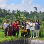 rice-field-experience-aik-berik-11