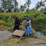 rice-field-experience-aik-berik-13