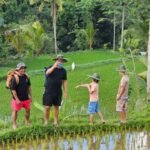 rice-field-experience-aik-berik-15