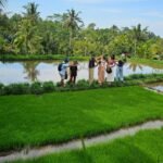 rice-field-experience-aik-berik-16