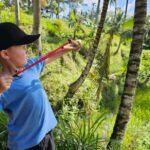 rice-field-experience-aik-berik-20