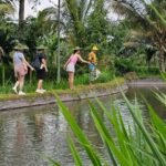 rice-field-experience-aik-berik-24
