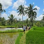 rice-field-experience-aik-berik-34