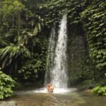 The hidden stream of Sesere Waterfall Lombok.
